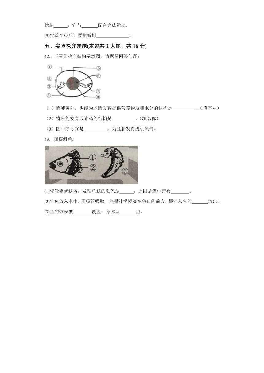 黑龙江省绥化市绥棱县克音河乡学校2023-2024学年七年级上学期月考生物试题（含解析）