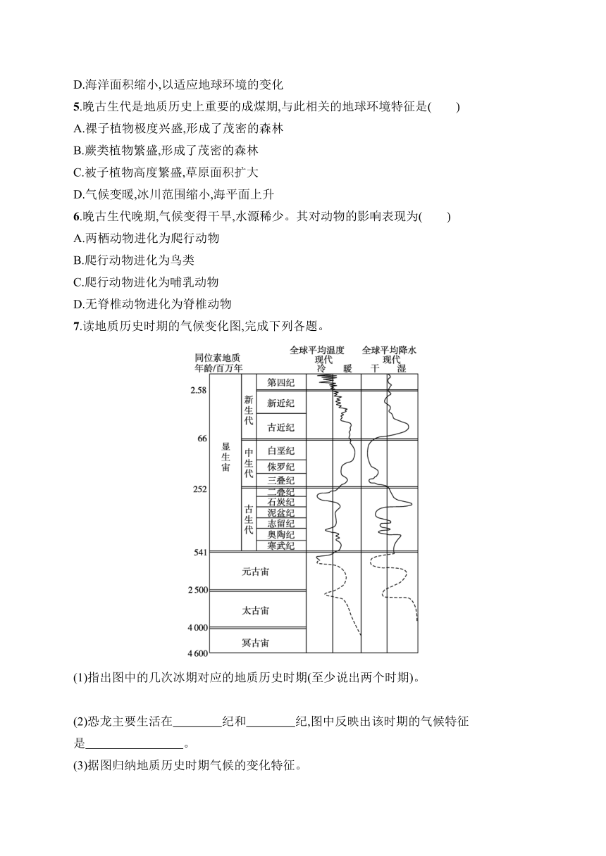 2023-2024学年高中地理人教版2019必修第一册课后习题 第1章 宇宙中的地球 第3节 地球的历史（含答案）