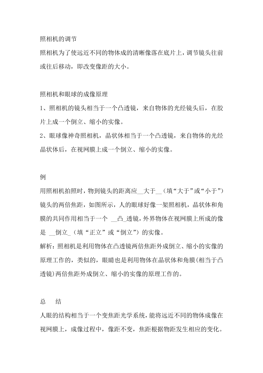 4.4照相机与眼球 视力的矫正 教案 2023-2024学年苏科版物理八年级上册