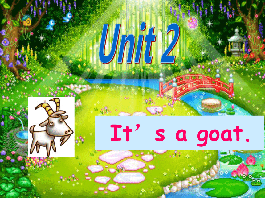 Unit 2 It's a goat 课件