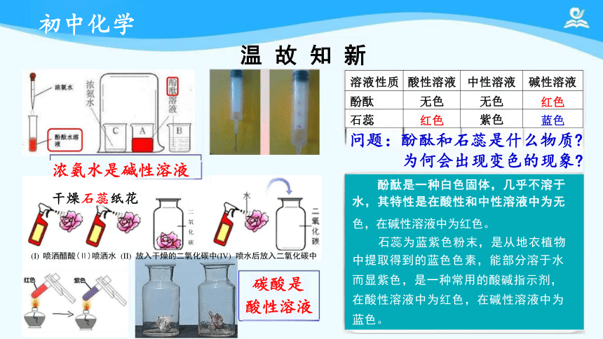 人教版九年级下册 第十单元 课题1 常见的酸和碱 课件（共16张PPT）