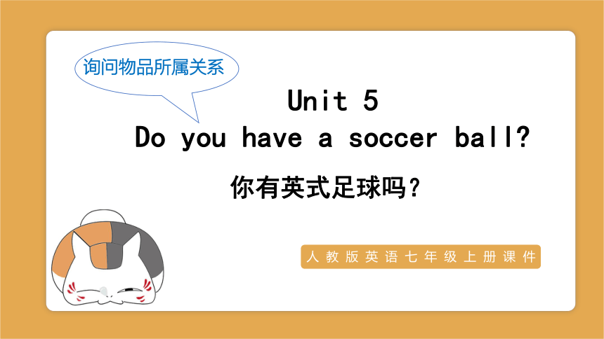 Unit 5 Do you have a soccer ball?  复习课件 (共37张PPT)