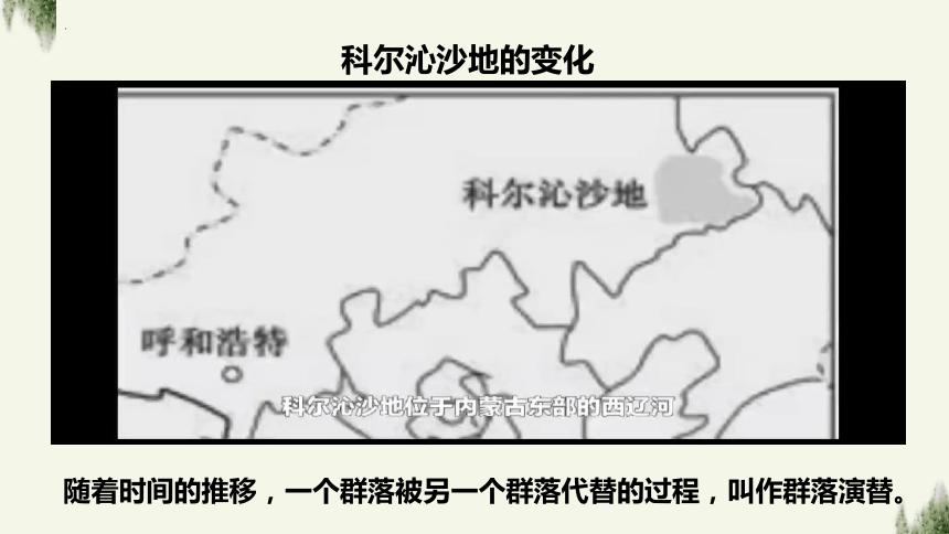 2.3群落的演替课件（共17张PPT、3份视频）2023-2024学年高二上学期生物人教版选择性必修2