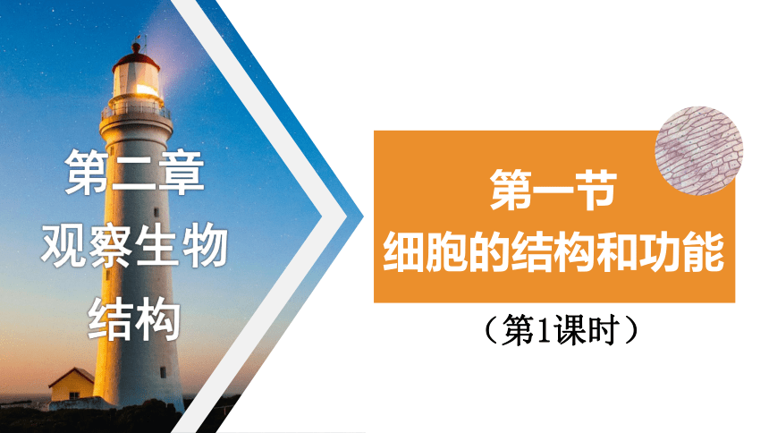 1.2.1 细胞的结构和功能（第一课时）课件(共29张PPT+内嵌视频4个)2023-2024学年济南版生物七年级上册