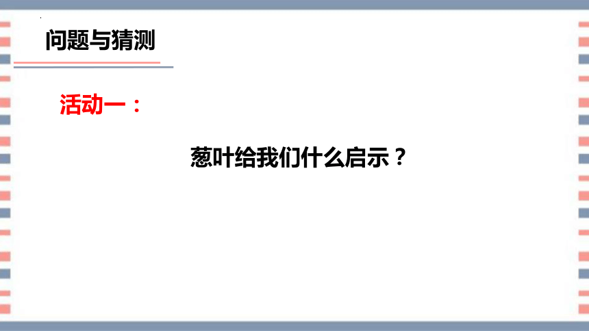 第23课 生物的启示（教学课件）(共28张PPT+视频)五年级科学上册同步高效课堂系列（青岛版）