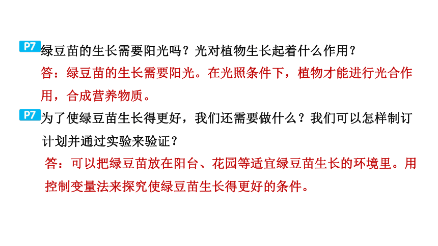 教科版科学五年级下册教材研讨问题参考答案  课件(共36张PPT)