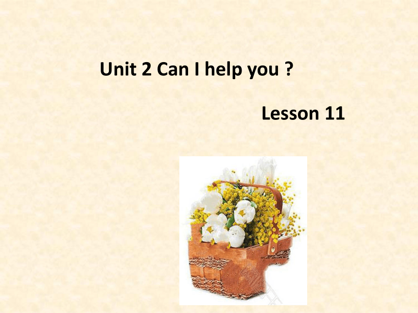 Unit 2 Can I help you ? Lesson 11 课件（31张PPT）