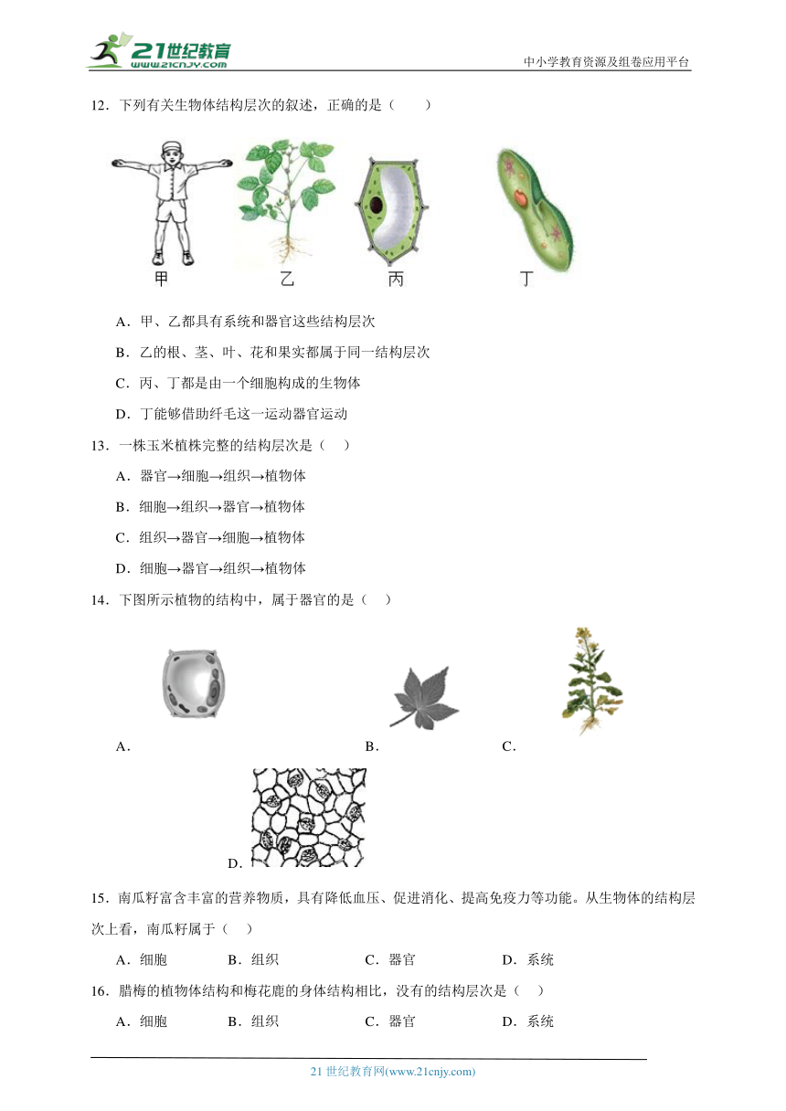 2023-2024学年初中生物济南版七年级上册期末复习专题5——多细胞生物体的结构层次（含解析）