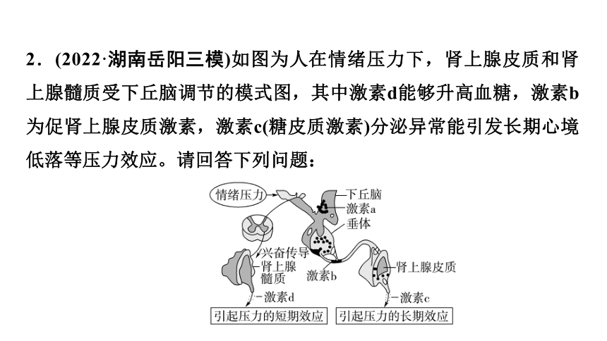 新人教高考生物学一轮复习素养加强课9　动物生命活动调节模型的建构与分析(课件共34张PPT)