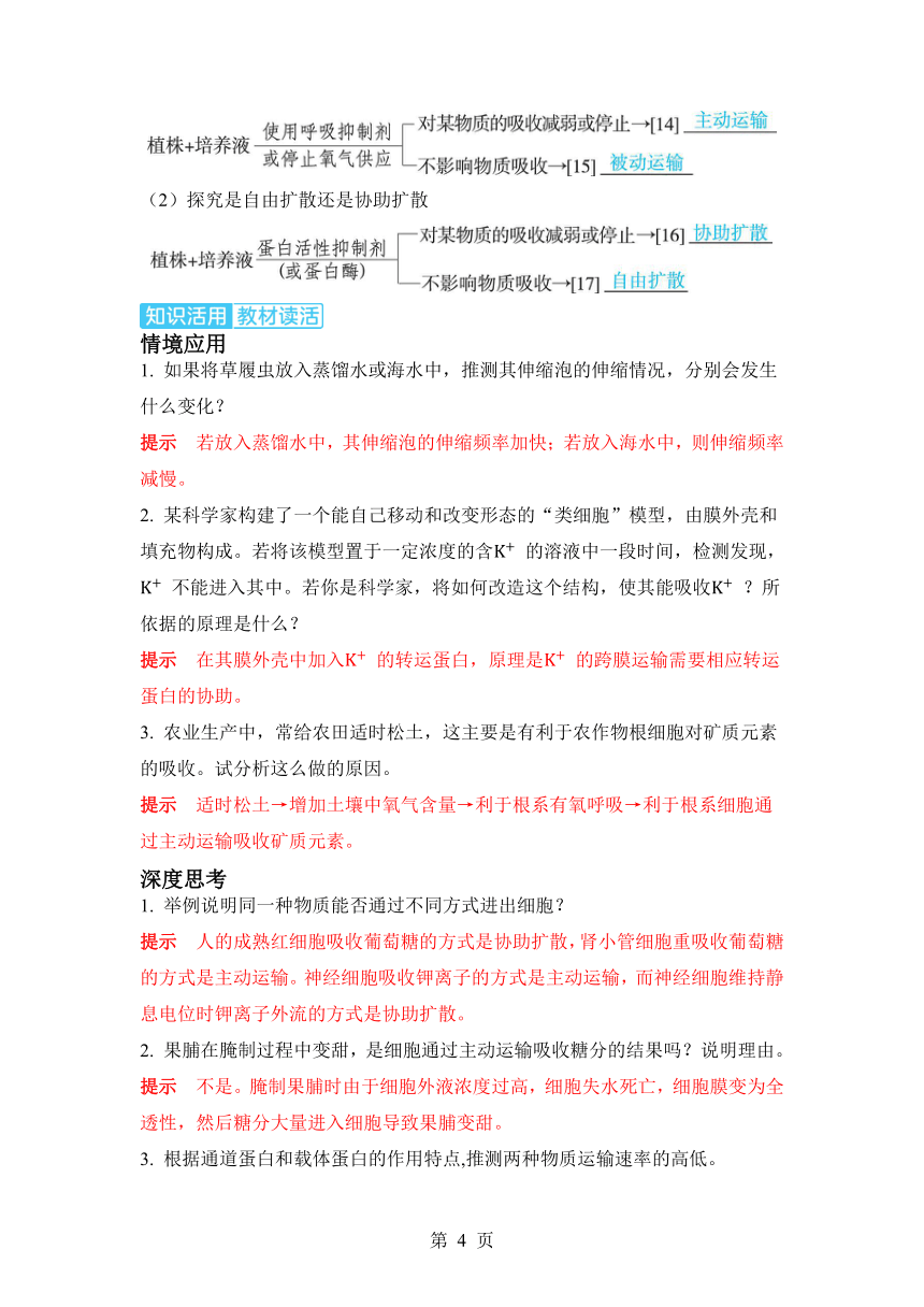 生物学高考备考学案：2-4  物质出入细胞的方式及影响因素（含答案）