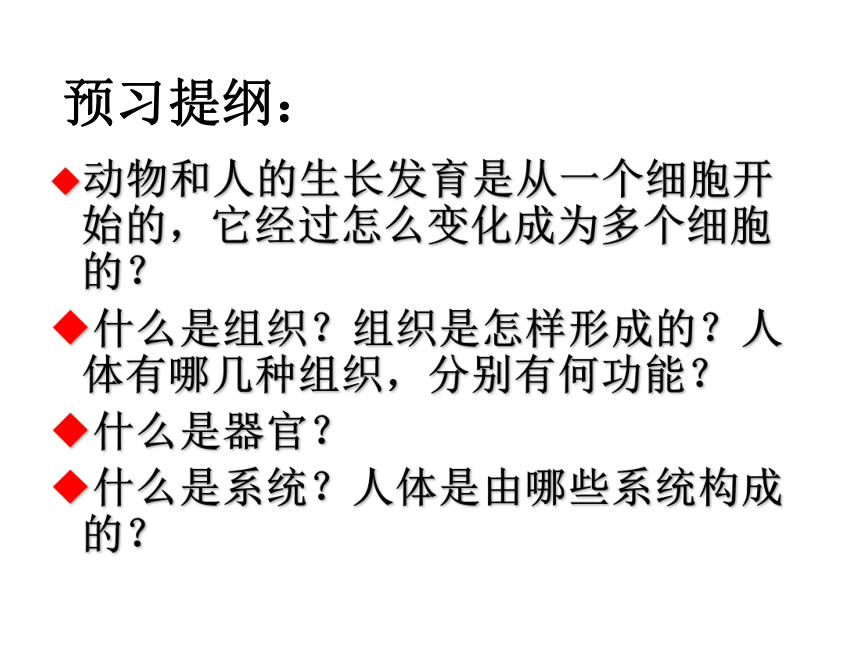 2017年秋人教版七年级上册生物课件2.2.2动物体的结构层次