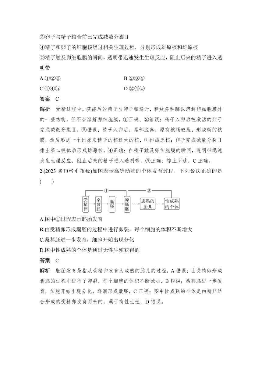 【备考2024】生物学高考一轮复习学案：第48讲　胚胎工程（含解析）