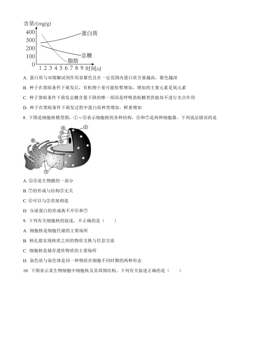 山东省泰安市肥城市2023-2024学年高一上学期期中考试生物（含解析）