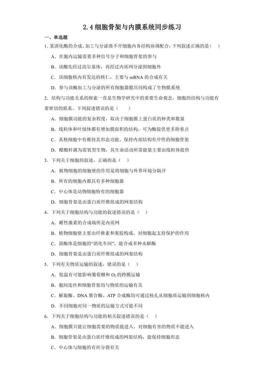 2.4细胞骨架与内膜系统同步练习2023-2024学年高一上学期生物北师大版必修1（含答案）