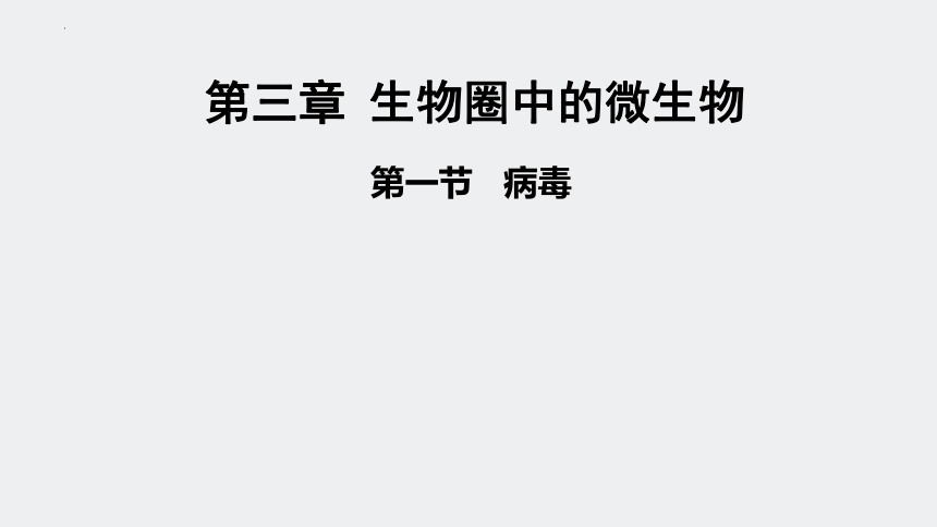 2.3.1病毒课件（共34张PPT）2023--2024学年济南版七年级上册生物学