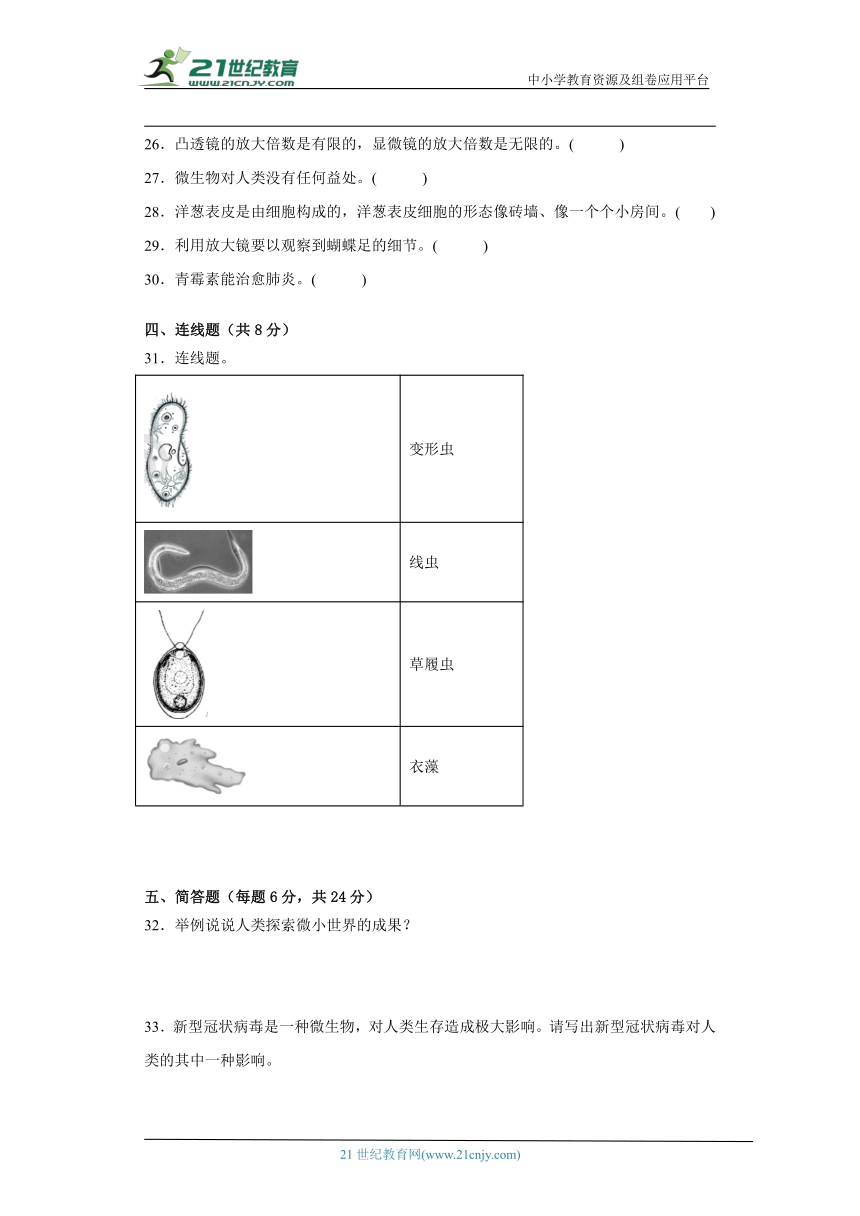 教科版六年级上册科学第一单元微小世界单元试题（含答案解析）