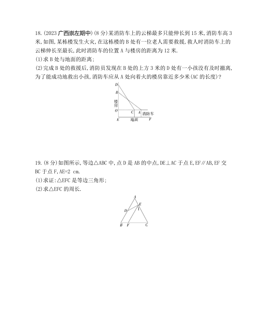 湘教版数学八年级下册第1章 直角三角形 素养综合检测（含解析）
