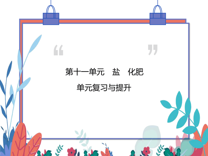 【同步精讲-习题课件】第十一单元《盐 化肥》单元复习与提升-人教版化学九下