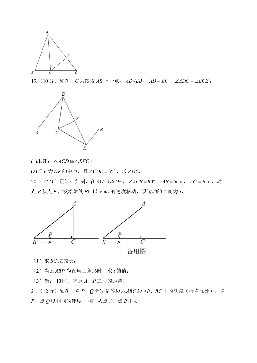 第十七章 特殊三角形 测基础——2023-2024学年冀教版数学八年级上册（含解析）