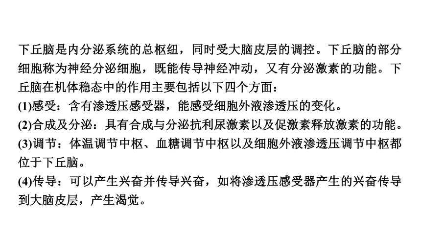 新人教高考生物学一轮复习素养加强课9　动物生命活动调节模型的建构与分析(课件共34张PPT)