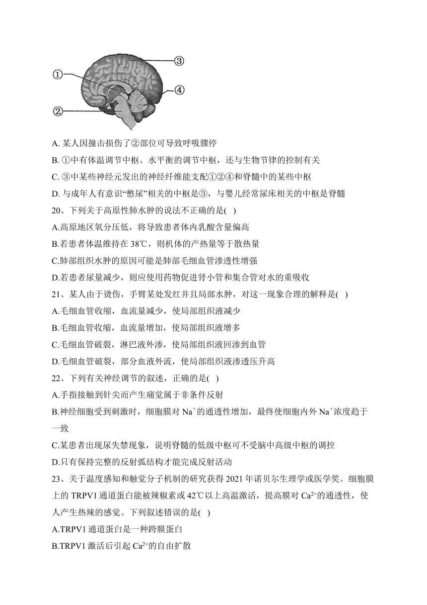 新疆和田地区民丰县多校2022-2023学年高二上学期期中联考生物试卷(含答案解析)