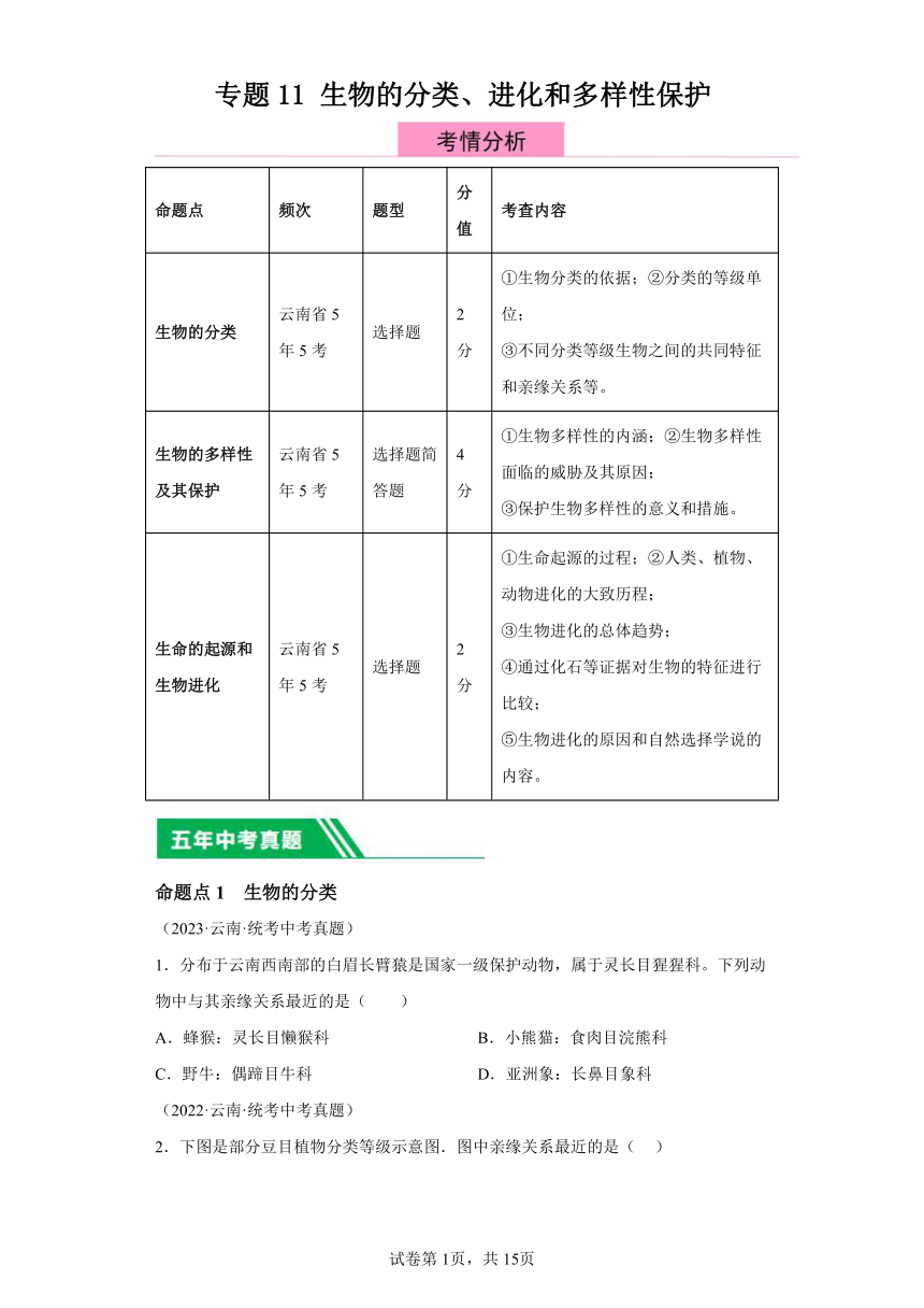 专题11生物的分类、进化和多样性保护 5年（2019-2023）中考1年模拟生物真题分类汇编（云南专用）（含解析）