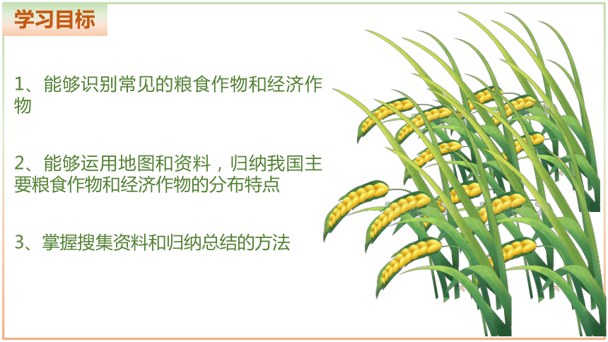 4.1.2 农业（课件）-2023-2024学年八年级地理上册同步优质课件（湘教版）（共26张PPT）