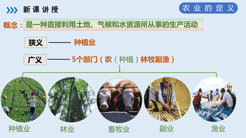4.1农业课件(共21张PPT) 湘教版地理八年级上册
