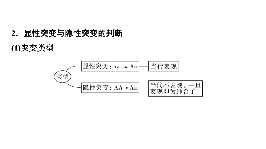 新人教高考生物学一轮复习素养加强课7　生物变异类型的实验探究(课件共25张PPT)