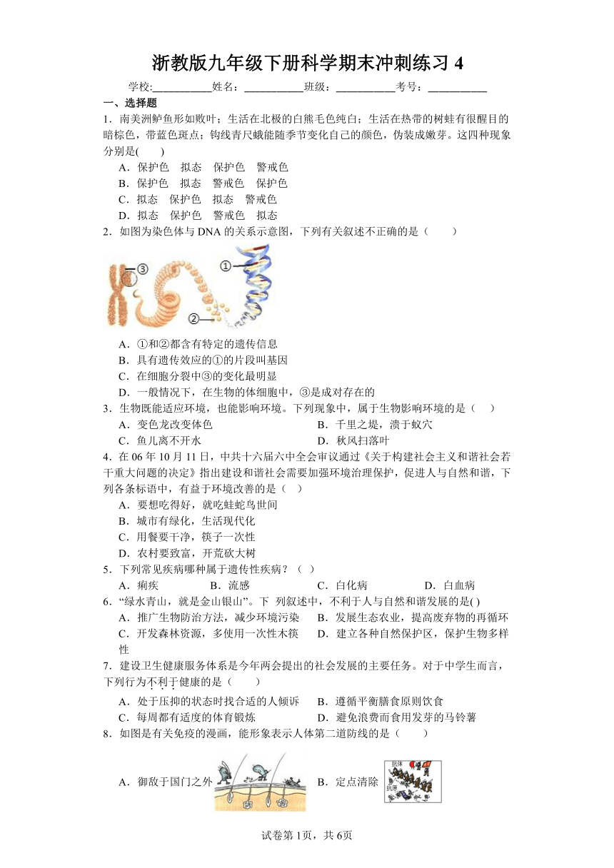 浙教版九年级下册科学期末冲刺练习4（含答案）