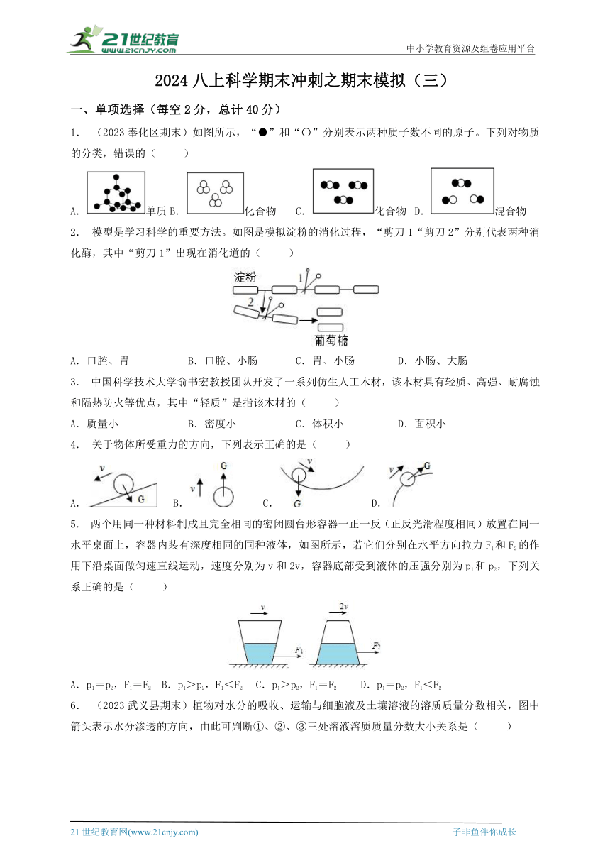 2023-2024年华师大版初中科学八上期末冲刺之期末模拟（三）（含答案）