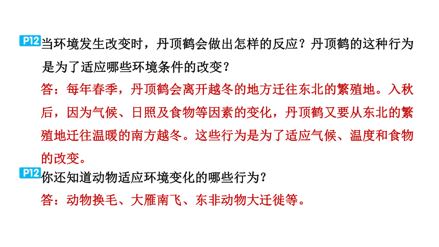 教科版科学五年级下册教材研讨问题参考答案  课件(共36张PPT)