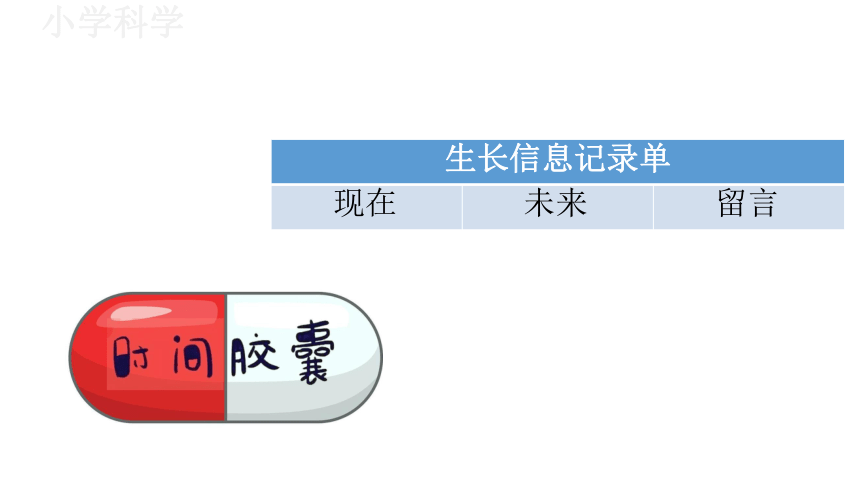 教科版（2017秋）二年级下册2.6身体的“时间胶囊”课件（23张PPT)