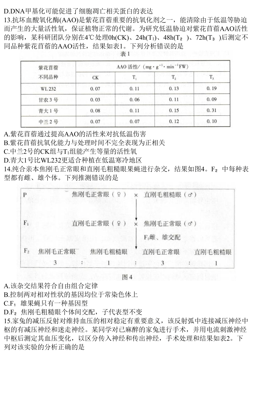广东省2023-2024学年高三上学期11月第二次调研考试生物学试题（含答案）