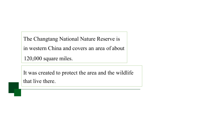 Unit 2 Wildlife Protection Reading and Thinking 课件（共29张PPT）高中英语 新人教版 必修二