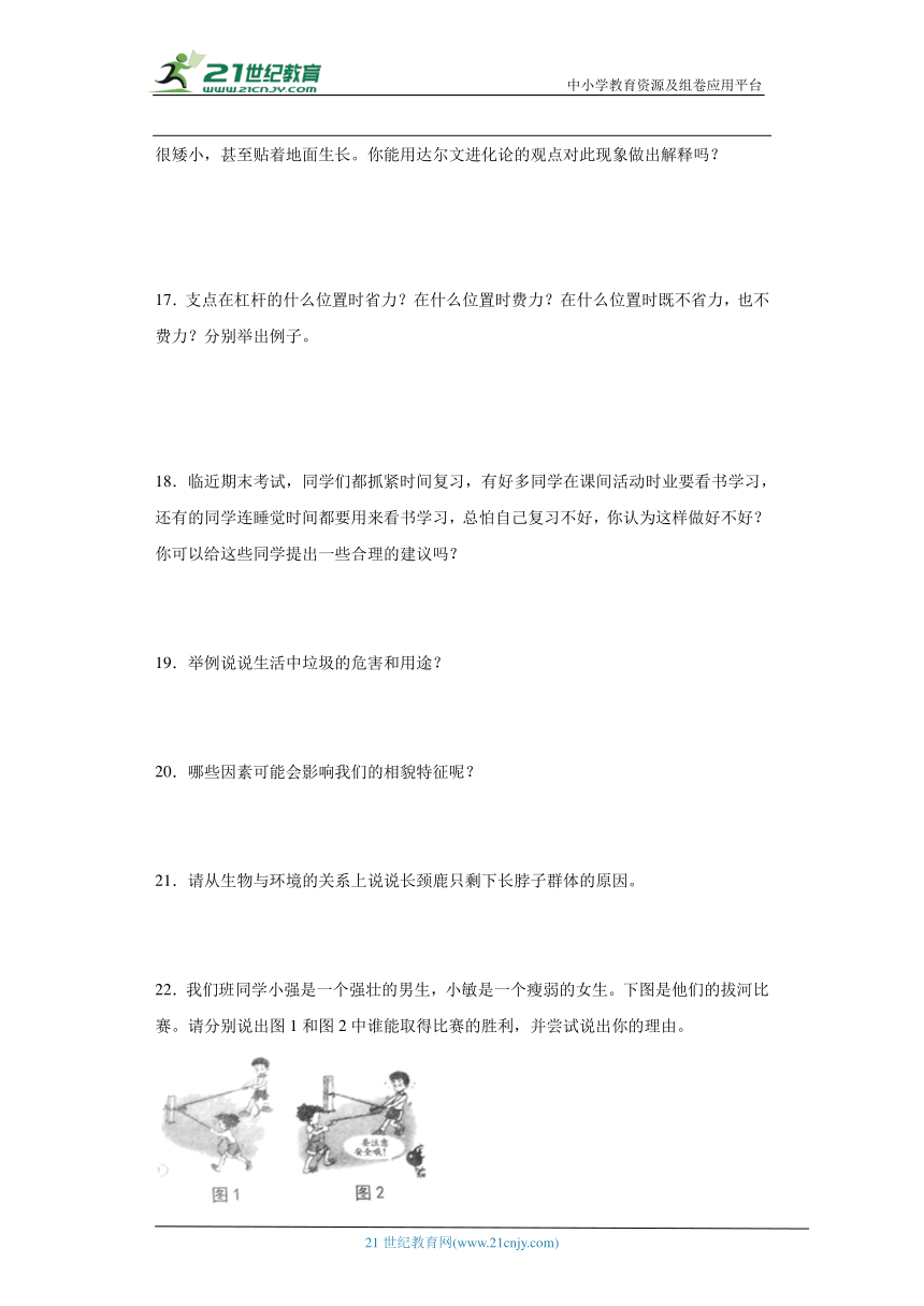 粤教版六年级上册科学期末简答题专题训练（含答案）