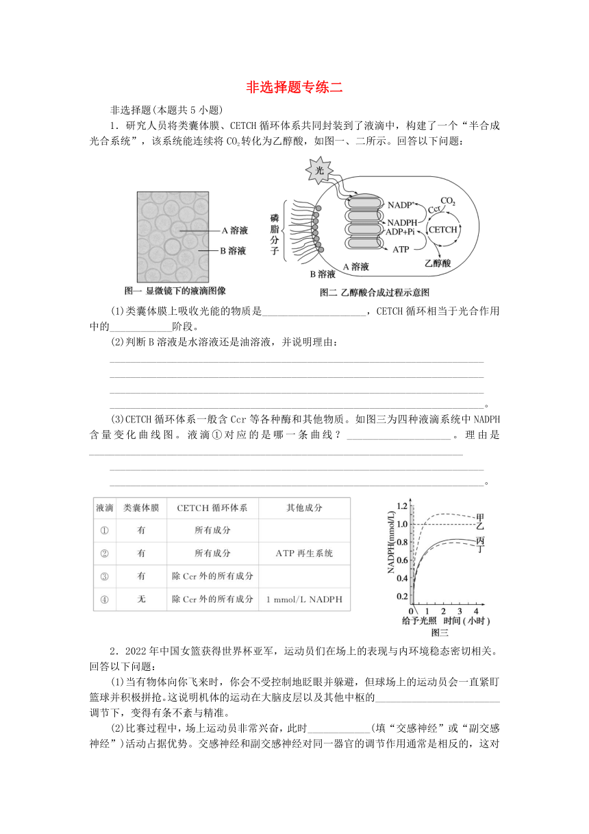 新教材2024届高考生物二轮专项分层特训卷第三部分临考速练非选择题专练二（含解析）