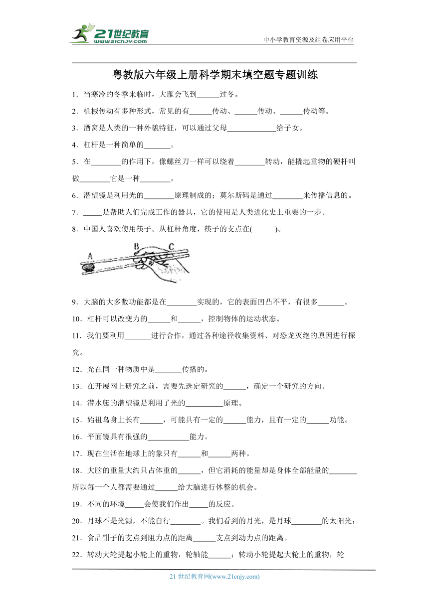 粤教版六年级上册科学期末填空题专题训练题（含答案解析）