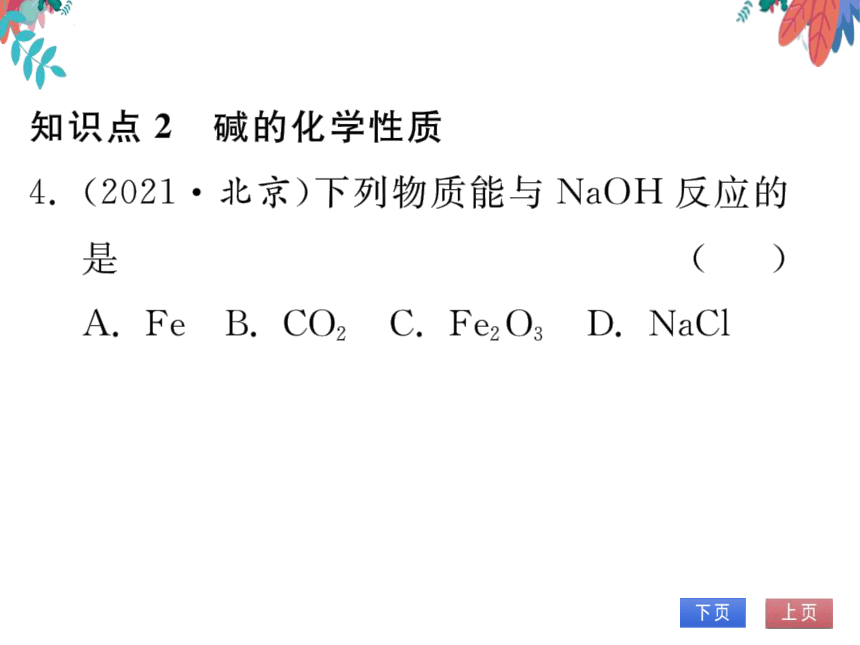 【同步精讲-习题课件】第十单元《酸和碱》课题1 第3课时 几种常见的碱 碱的化学性质-人教版化学九下