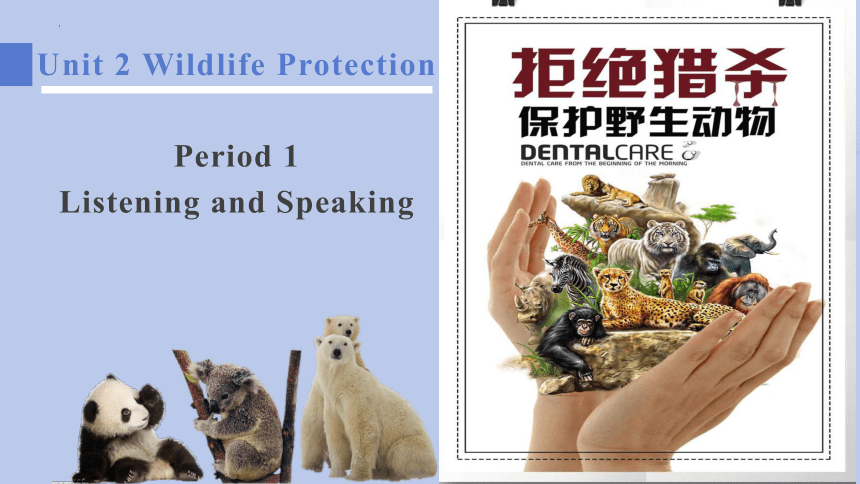 人教版（2019）  必修第二册  Unit 2 Wildlife Protection  Listening and Speaking课件(共20张PPT，内镶嵌视频和音频)