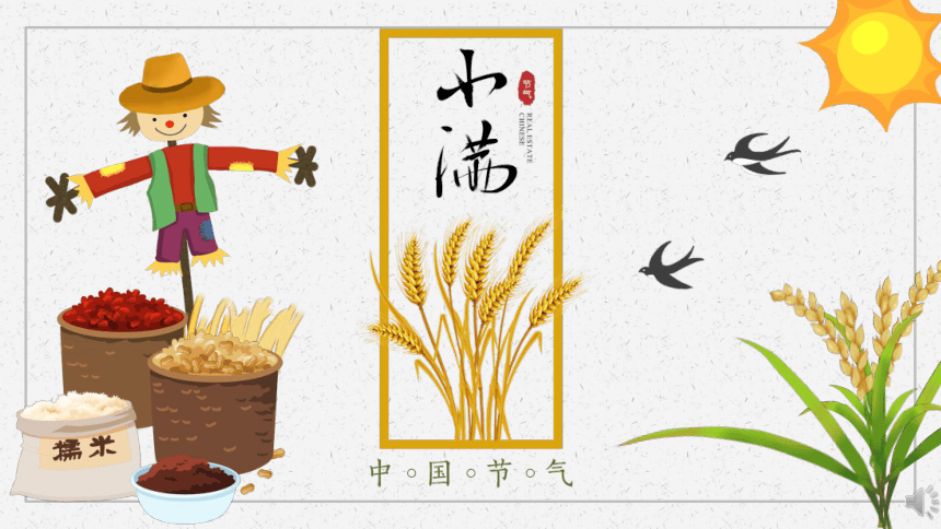 第08讲：小满-中华传统文化二十四节气介绍精美课件专辑
