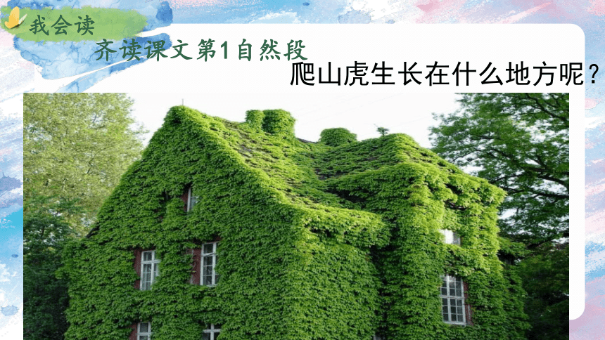 10《爬山虎的脚》  课件(共20张PPT)