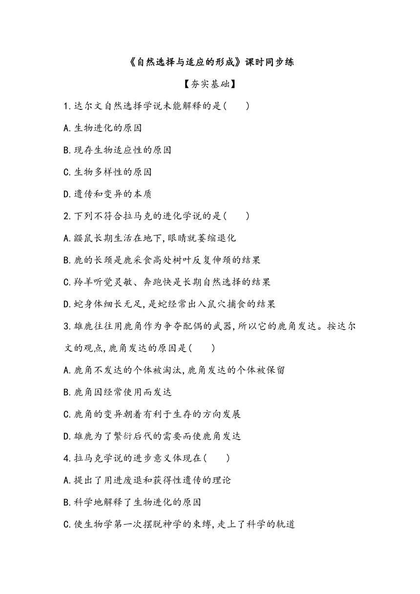 6.2《自然选择与适应的形成》课时同步练2023~2024学年高中生物人教版（2019）必修2（含答案）