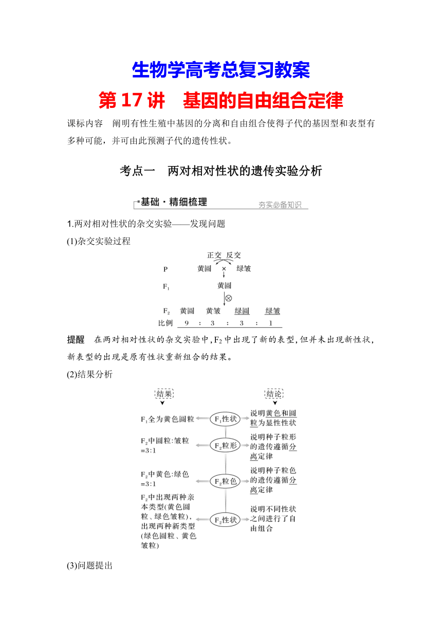 【备考2024】生物学高考一轮复习学案：第17讲　基因的自由组合定律（含解析）