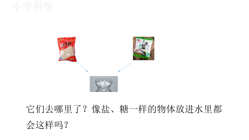 教科版（2017秋）一年级下册1.6它们去哪里了课件（17张PPT)