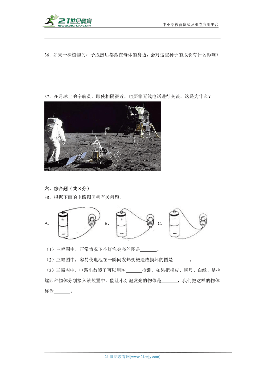 粤教版四年级上册科学期末试题（含答案）