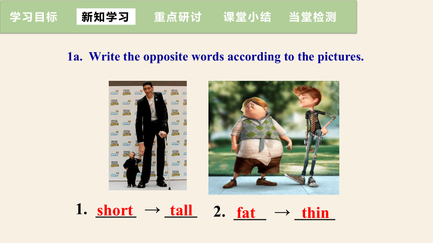 人教版八年级上册Unit 3I'm more outgoing than my sister. Section A (1a~1c) 课件(共18张PPT，内嵌音频)