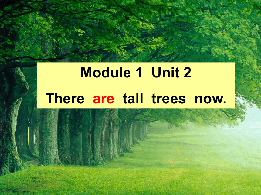 Module 1 Unit 2 There are tall trees now 课件