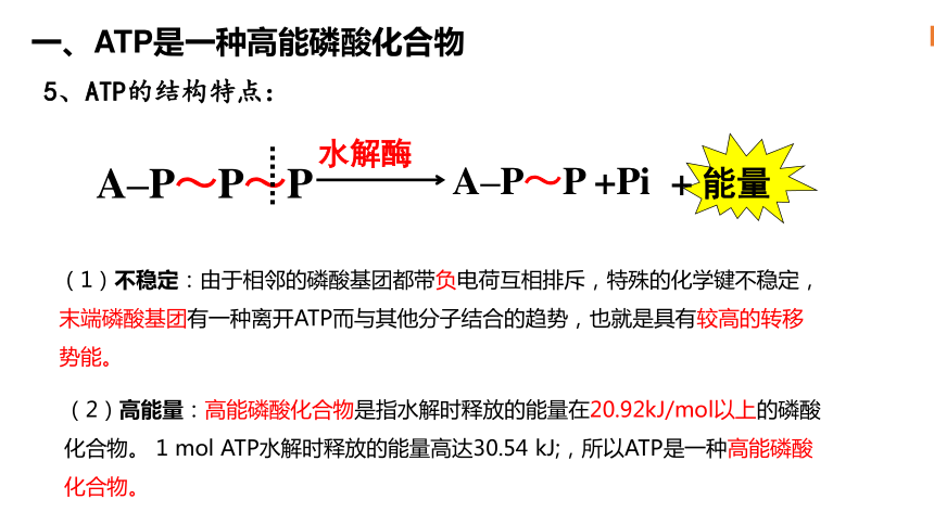5.2细胞的能量“货币”ATP课件(共24张PPT1份视频)-2023-2024学年高一上学期生物人教版（2019）必修1