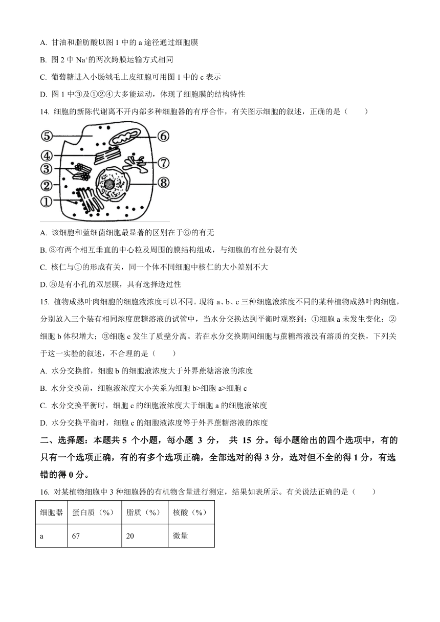 山东省泰安市肥城市2023-2024学年高一上学期期中考试生物（含解析）